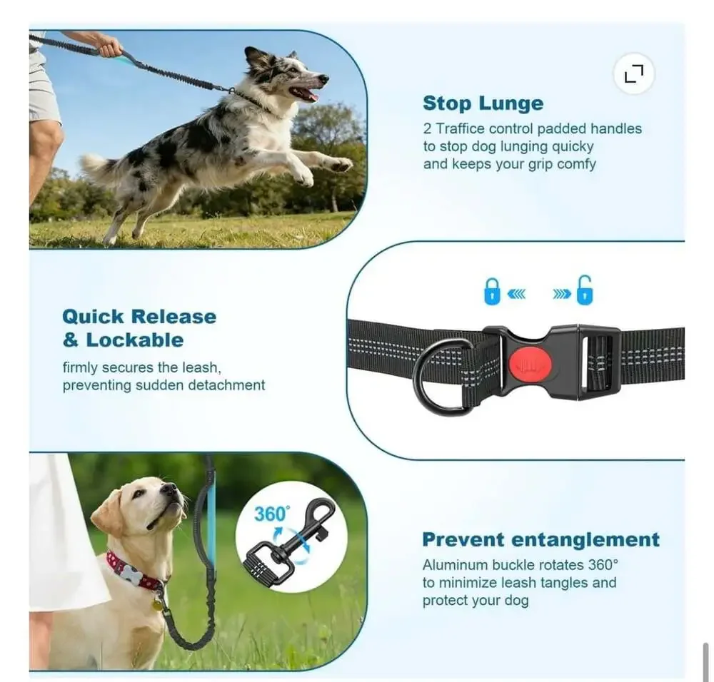 Hands-Free Dog Leash with Waist Pouch and Dual Bungee Handles